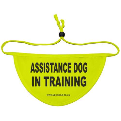 Assistance Dog In Training - Fluorescent Neon Yellow Dog Bandana