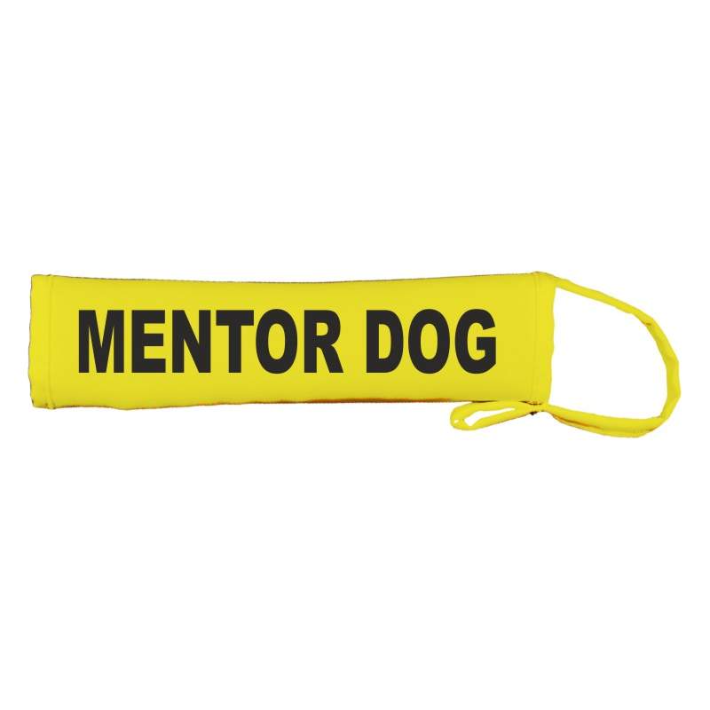 Mentor Dog - Fluorescent Neon Yellow Dog Lead Slip