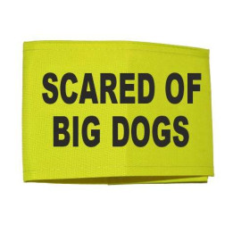 scared of big dogs - Fluorescent Neon Yellow Arm Band