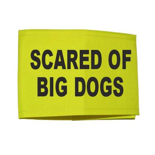 scared of big dogs - Fluorescent Neon Yellow Arm Band