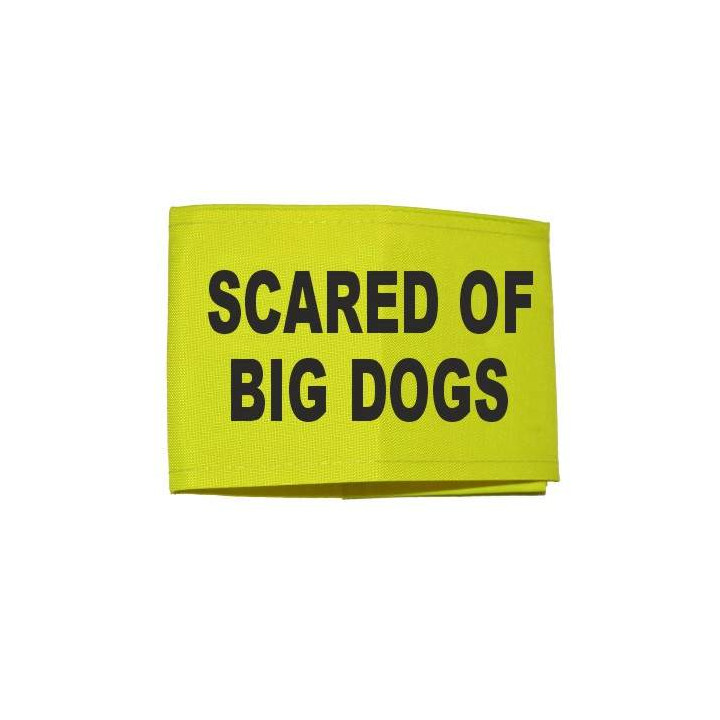 scared of big dogs - Fluorescent Neon Yellow Arm Band