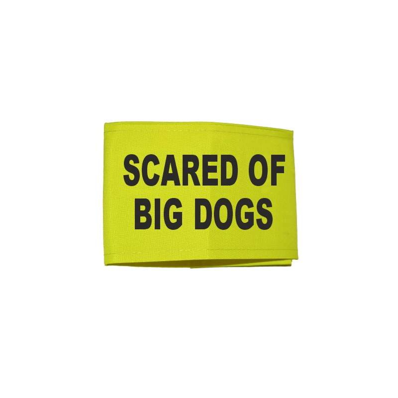 scared of big dogs - Fluorescent Neon Yellow Arm Band