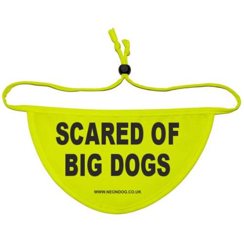 scared of big dogs- Fluorescent Neon Yellow Dog Bandana