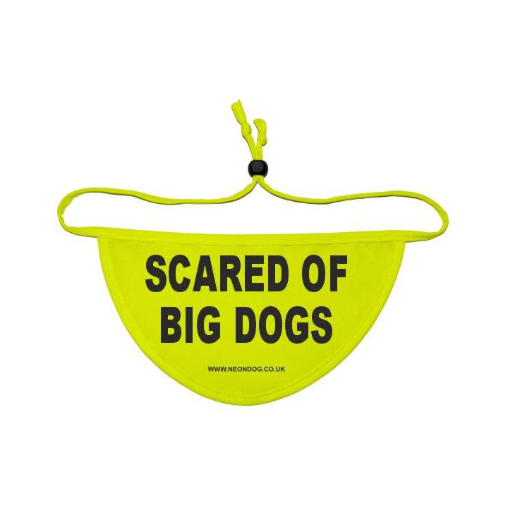 scared of big dogs- Fluorescent Neon Yellow Dog Bandana
