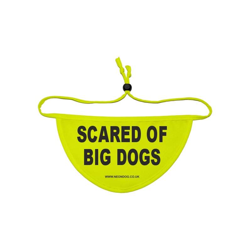 scared of big dogs- Fluorescent Neon Yellow Dog Bandana