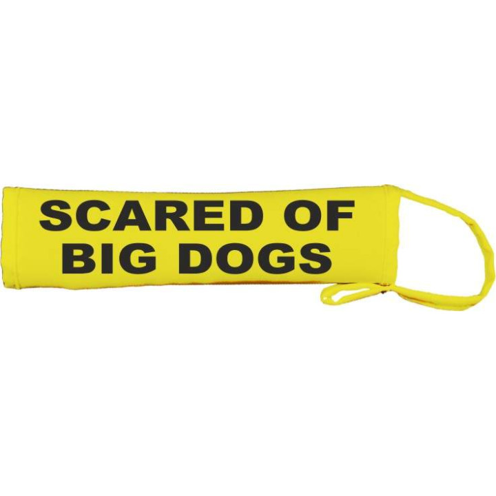 scared of big dogs - Fluorescent Neon Yellow Dog Lead Slip