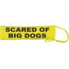 Keep Your Dog Away - Fluorescent Neon Yellow Dog Lead Slip
