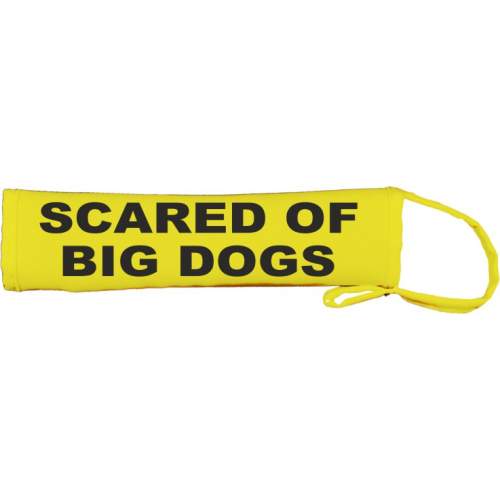 scared of big dogs - Fluorescent Neon Yellow Dog Lead Slip