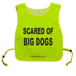 scared of big dogs - Fluorescent Neon Yellow Tabard