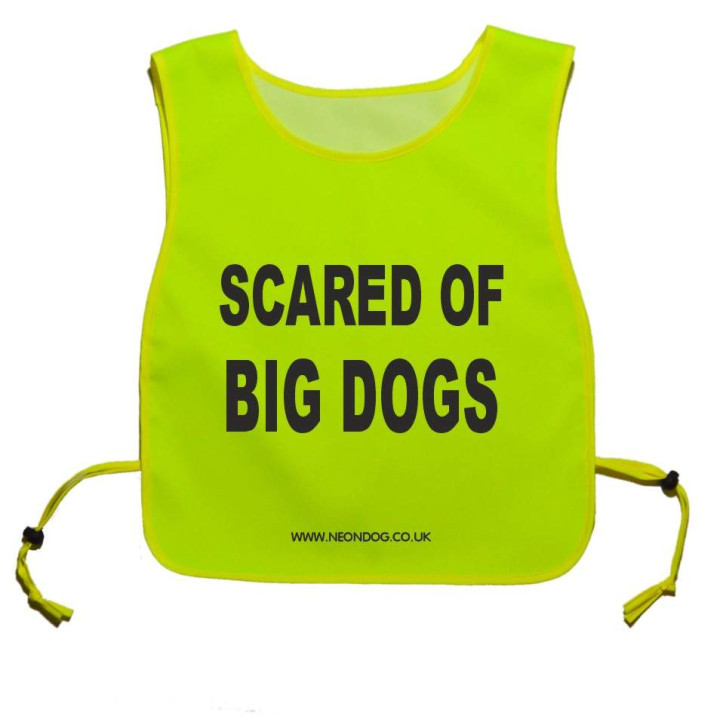 scared of big dogs - Fluorescent Neon Yellow Tabard