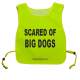 Keep Your Dog Away - Fluorescent Neon Yellow Tabbard