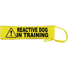 Caution Reactive Dog in Training - Fluorescent Neon Yellow Dog Lead Slip
