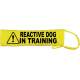 Caution Reactive Dog in Training - Fluorescent Neon Yellow Dog Lead Slip
