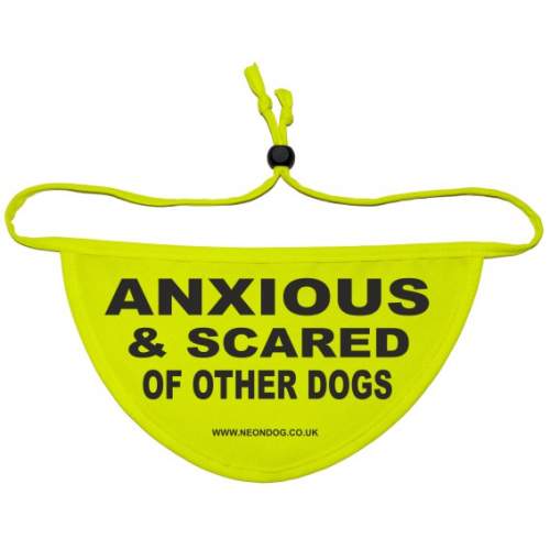 Anxious & Scared Of Other Dogs - Fluorescent Neon Yellow Dog Bandana