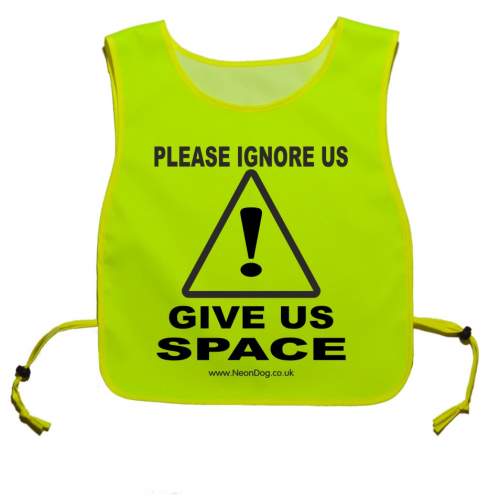 Please ignore us - Give us space tabard - Fluorescent Neon Yellow Tabard