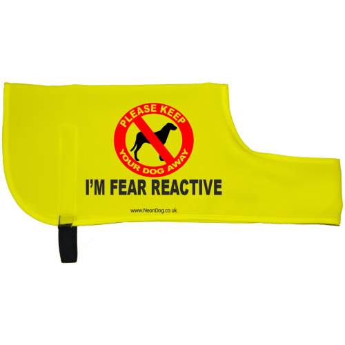 I'm Fear reactive - Fluorescent Neon Yellow Dog Coat Jacket
