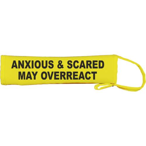 Anxious and scared May overreact - Fluorescent Neon Yellow Dog Lead Slip