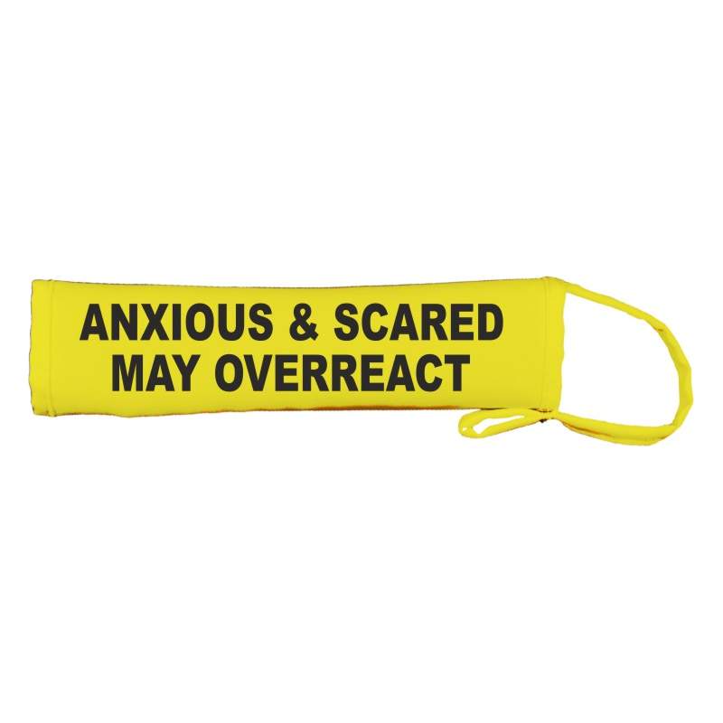 Anxious and scared May overreact - Fluorescent Neon Yellow Dog Lead Slip