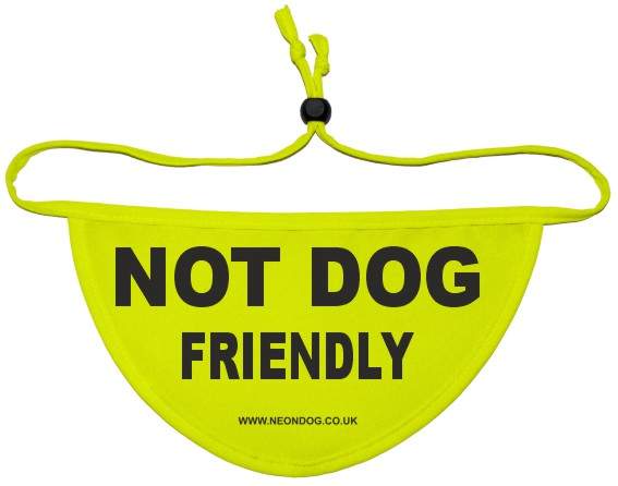 Do not pet on sale dog bandana