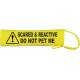 SCARED & REACTIVE DO NOT PET ME - Fluorescent Neon Yellow Dog Lead Slip
