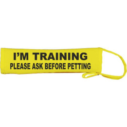 I’M TRAINING PLEASE ASK BEFORE PETTING - Fluorescent Neon Yellow Dog Lead Slip