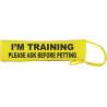 I’M TRAINING PLEASE ASK BEFORE PETTING - Fluorescent Neon Yellow Dog Lead Slip