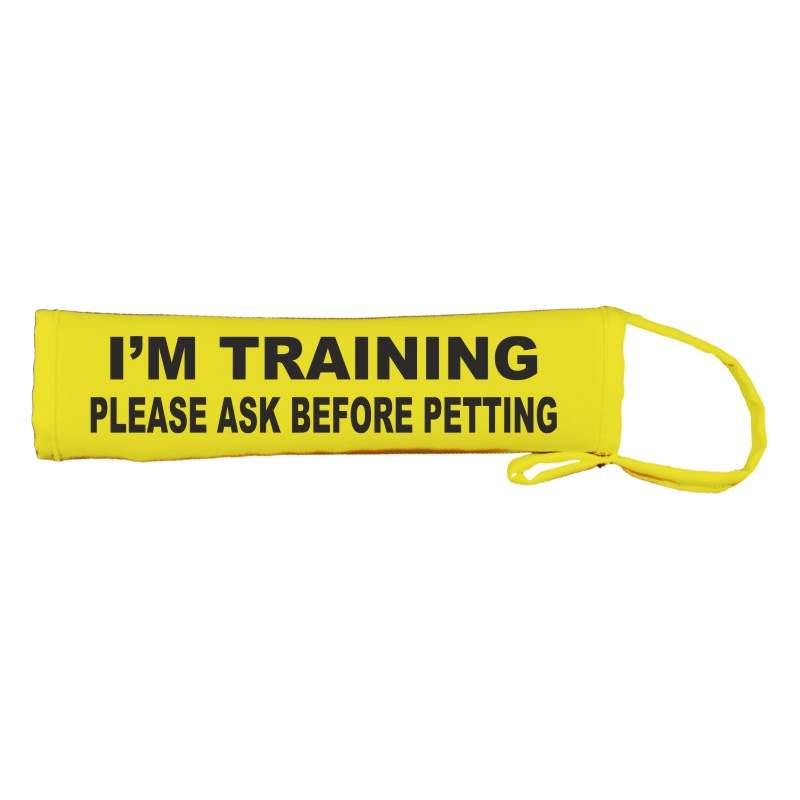 I’M TRAINING PLEASE ASK BEFORE PETTING - Fluorescent Neon Yellow Dog Lead Slip
