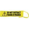 Keep Your Dog Away - Fluorescent Neon Yellow Dog Lead Slip