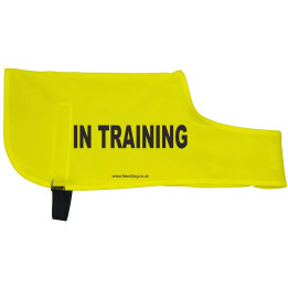 IN TRAINING  - Fluorescent Neon Yellow Dog Coat Jacket