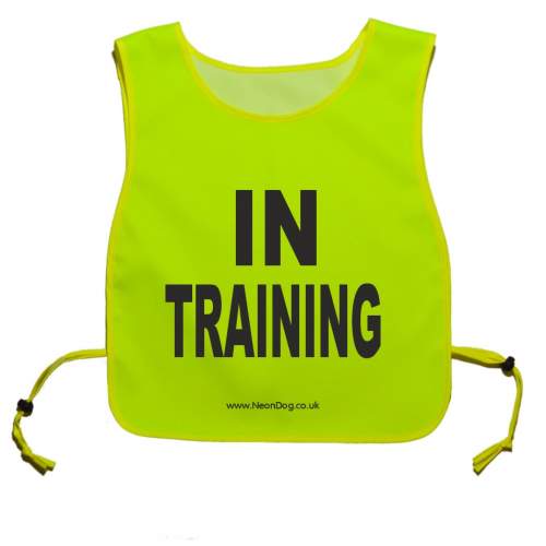 IN TRAINING - Give us space tabard - Fluorescent Neon Yellow Tabard