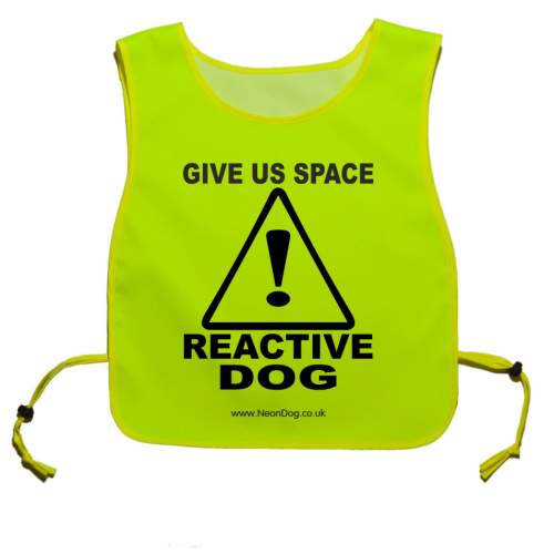 Caution Give Us Space - Reactive Dog tabard - Fluorescent Neon Yellow Tabard