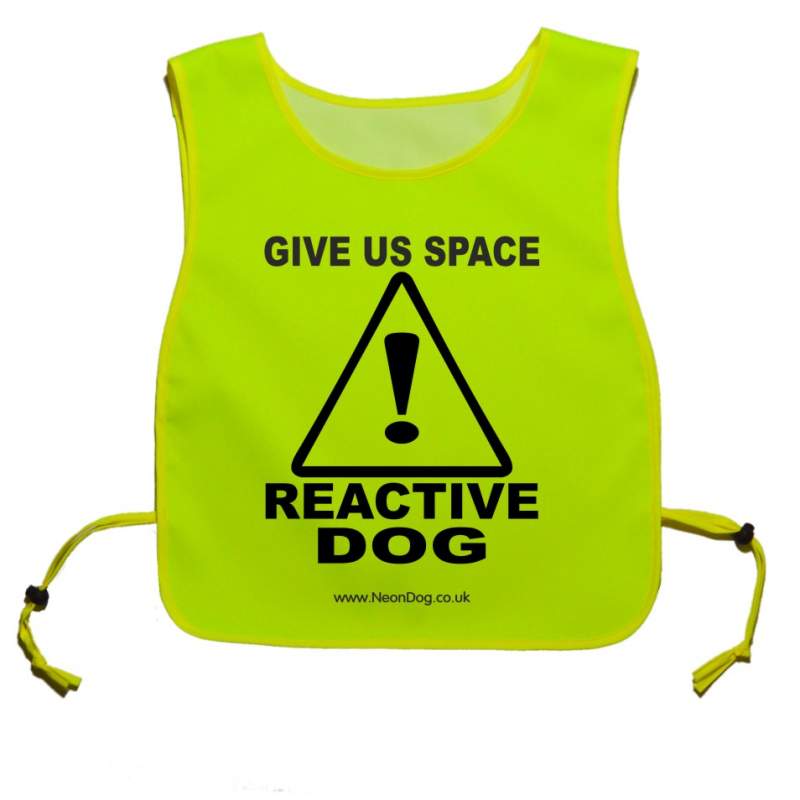 Keep Your Dog Away - Fluorescent Neon Yellow Tabbard