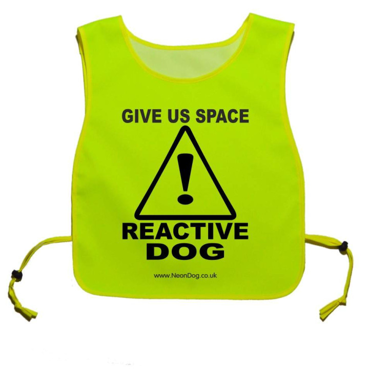 Caution Give Us Space - Reactive Dog tabard - Fluorescent Neon Yellow Tabard