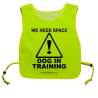 We Need Space - Dog In Training - Fluorescent Neon Yellow Tabard