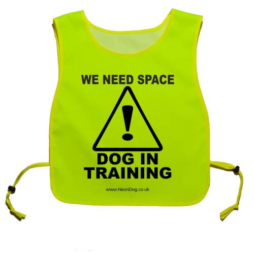 We Need Space - Dog In Training - Fluorescent Neon Yellow Tabard