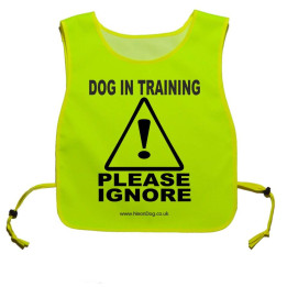 Dog in training please ignore tabard - Fluorescent Neon Yellow Tabard