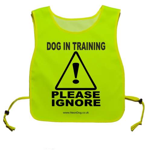 Dog in training please ignore tabard - Fluorescent Neon Yellow Tabard