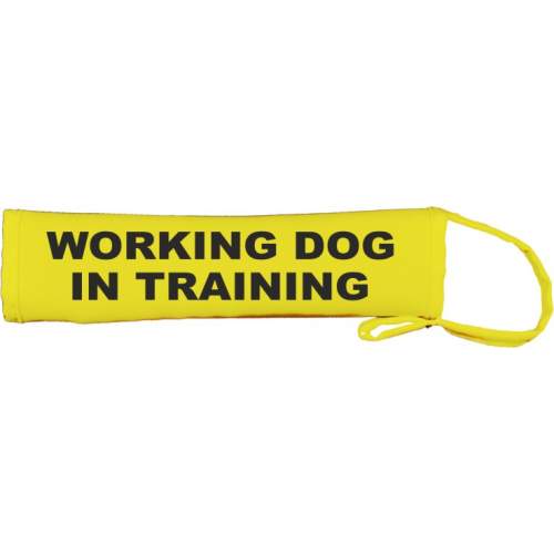 WORKING DOG IN TRAINING - Fluorescent Neon Yellow Dog Lead Slip