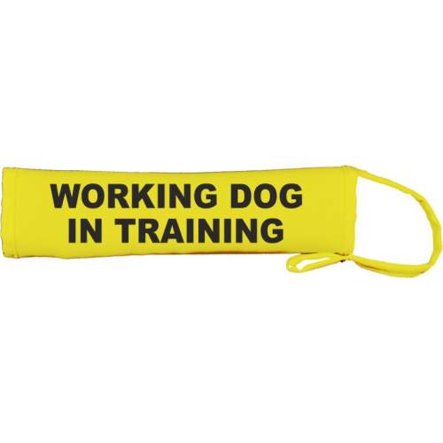 WORKING DOG - IN TRAINING- Fluorescent Neon Yellow Dog Lead Slip