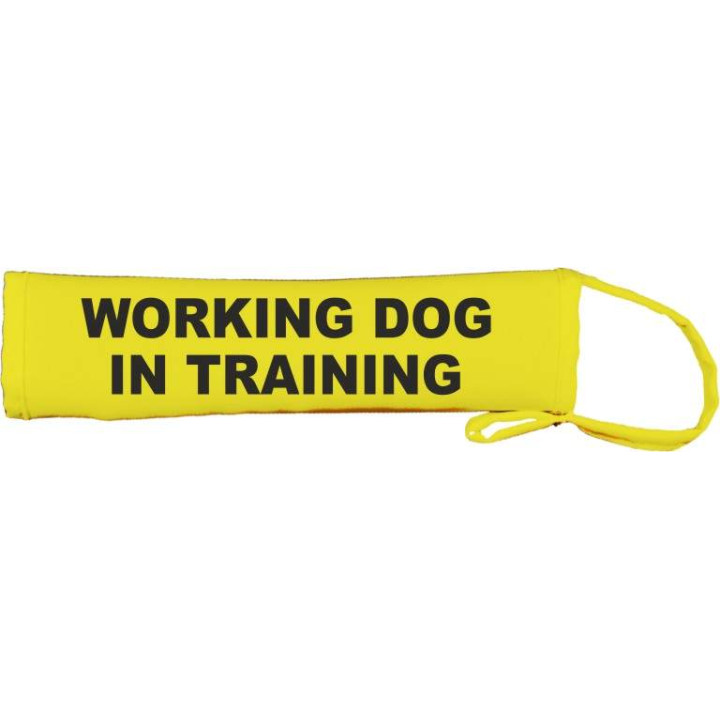WORKING DOG - IN TRAINING- Fluorescent Neon Yellow Dog Lead Slip