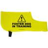 Foster Dog in Training - Fluorescent Neon Yellow Dog Coat Jacket