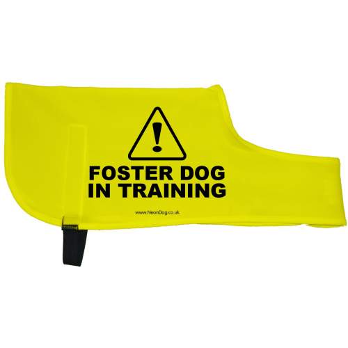 Foster Dog in Training - Fluorescent Neon Yellow Dog Coat Jacket