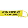 Keep Your Dog Away - Fluorescent Neon Yellow Dog Lead Slip