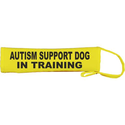Autism Support Dog in training - Fluorescent Neon Yellow Dog Lead Slip