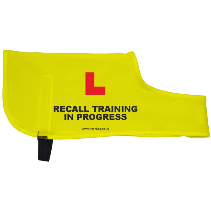 L Plate Recall training in progress  - Fluorescent Neon Yellow Dog Coat Jacket