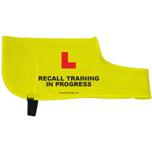 L Plate Recall training in progress - Fluorescent Neon Yellow Dog Coat Jacket