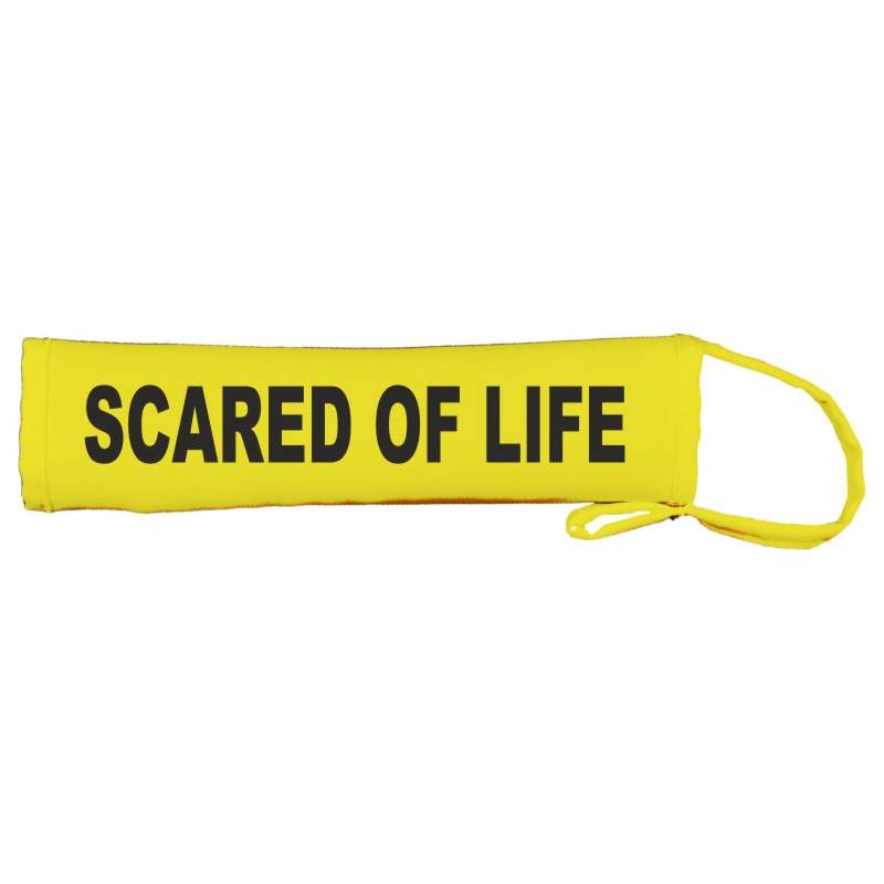 Scared Of Life - Fluorescent Neon Yellow Dog Lead Slip
