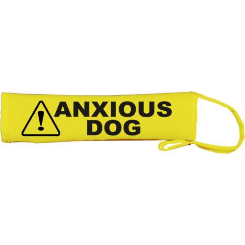 Anxious Dog - Fluorescent Neon Yellow Dog Lead Slip