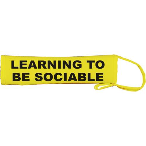 LEARNING TO BE SOCIABLE - Fluorescent Neon Yellow Dog Lead Slip