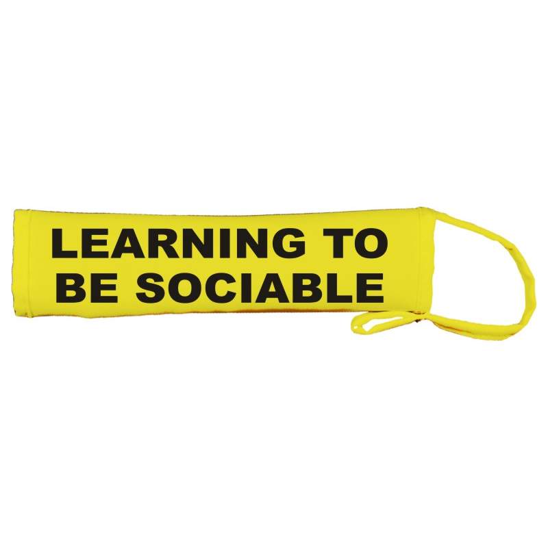 LEARNING TO BE SOCIABLE - Fluorescent Neon Yellow Dog Lead Slip